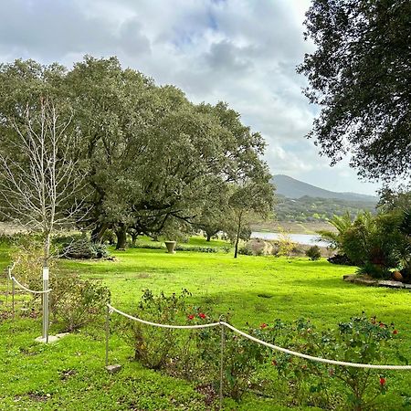 Casa Rural Alcornocalejo Monesterio Εξωτερικό φωτογραφία