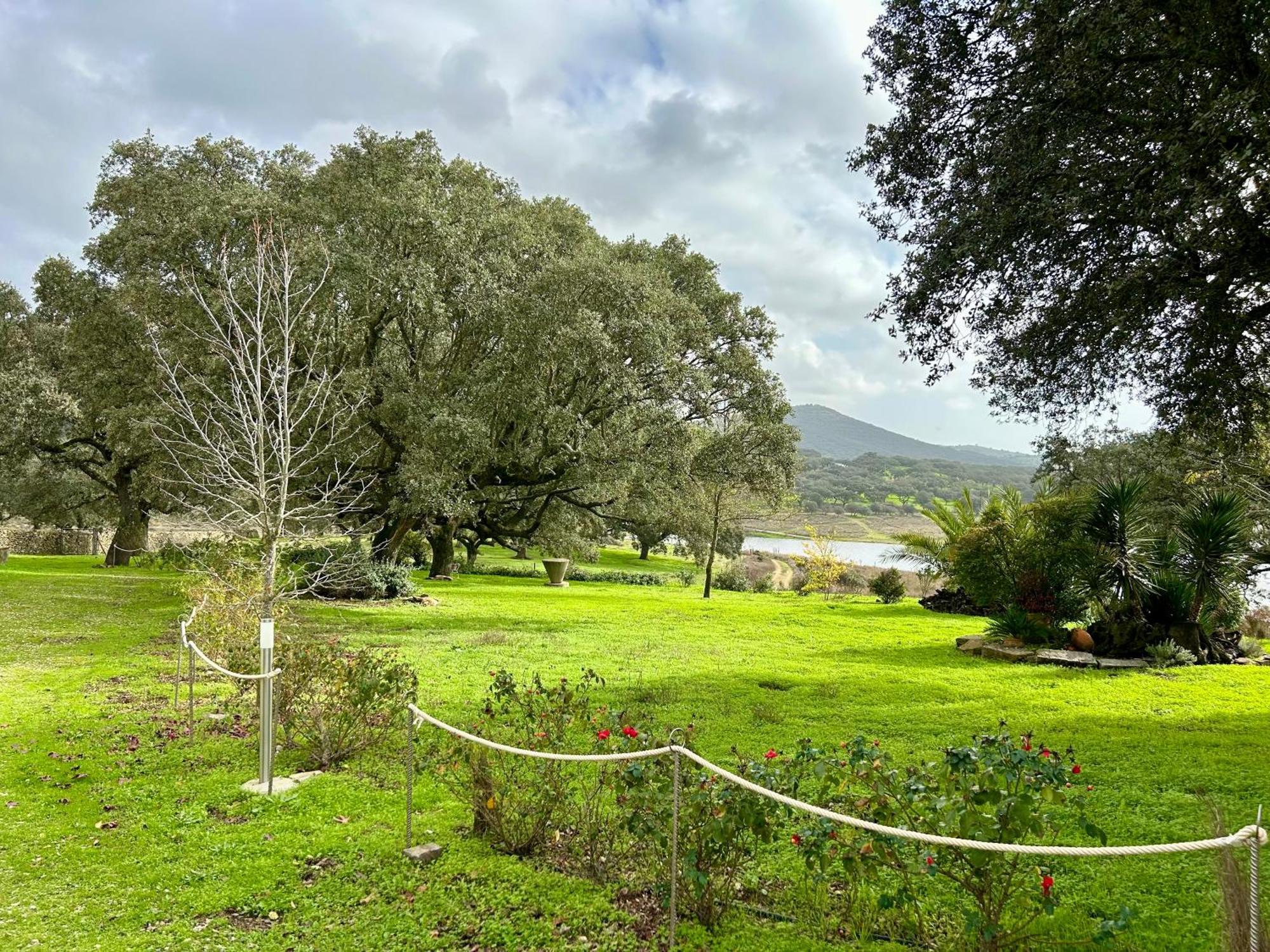 Casa Rural Alcornocalejo Monesterio Εξωτερικό φωτογραφία
