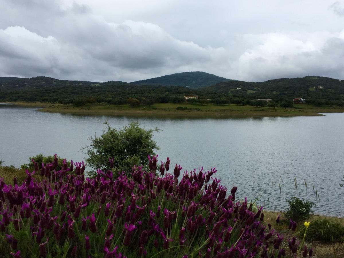 Casa Rural Alcornocalejo Monesterio Εξωτερικό φωτογραφία